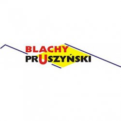 Pruszyński - ventilated under ridge strip